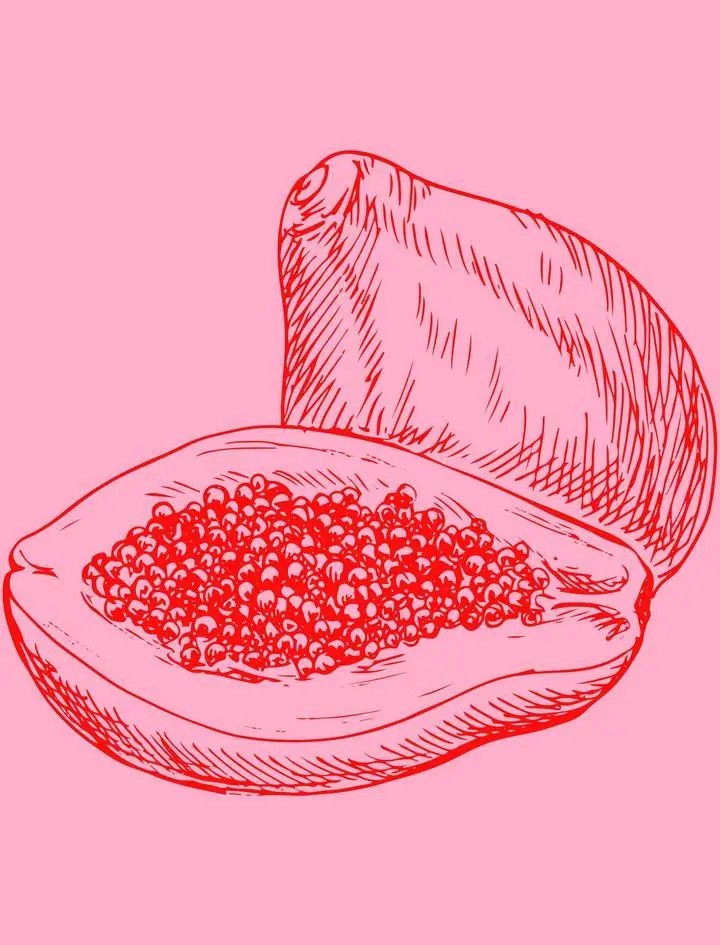 Red Pomegranate Seeds, Aesthetic Art, Fruits