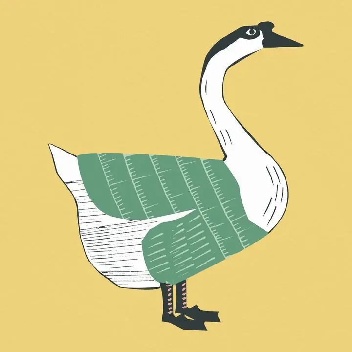 Retro Goose, Aesthetic Art, Animal & Birds, Animal & Birds B