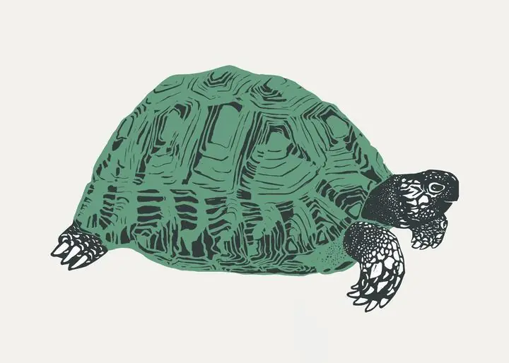 Retro Green Turtle Stencil, Aesthetic Art, Animal & Birds, Animal & Birds B