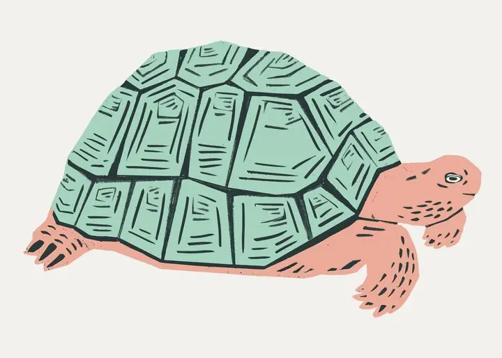 Retro Mint Green Turtle, Aesthetic Art, Animal & Birds, Animal & Birds B