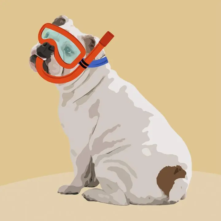 Scuba Dog- English Bulldog, Aesthetic Art, Animal & Birds, Animal & Birds B