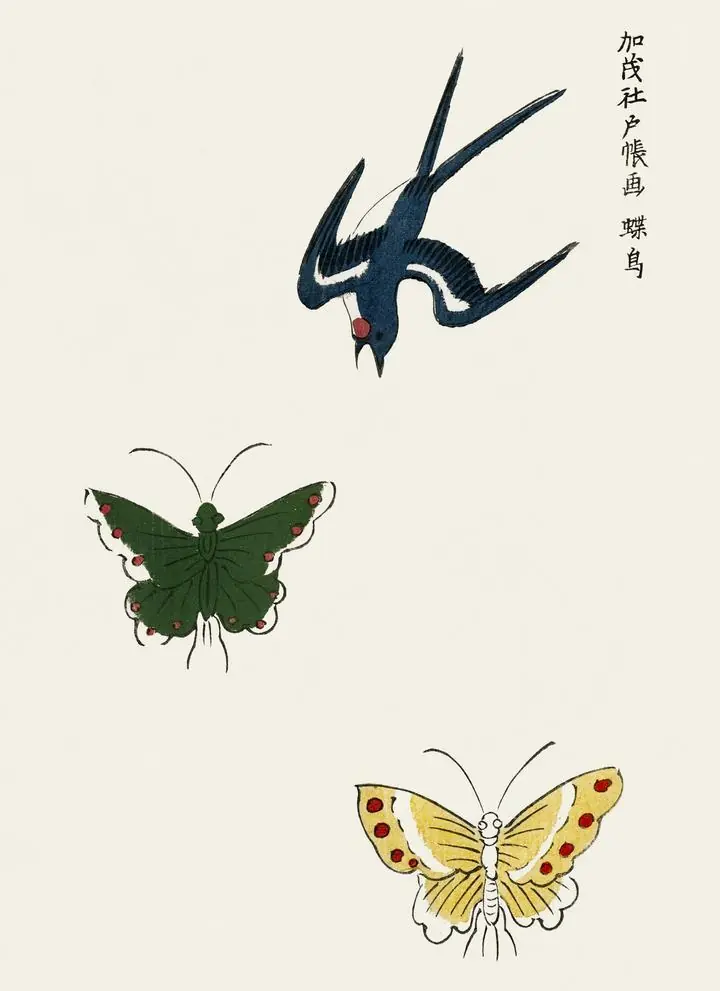 Swallow And Butterflies, Aesthetic Art, Animal & Birds, Animal & Birds B