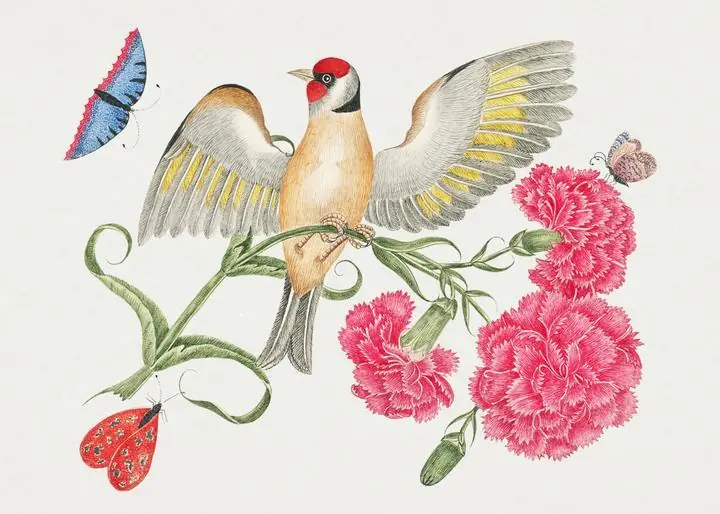 The 18TH Century Illustration Of A Brown Bird With Red Head, Aesthetic Art, Animal & Birds, Animal & Birds B