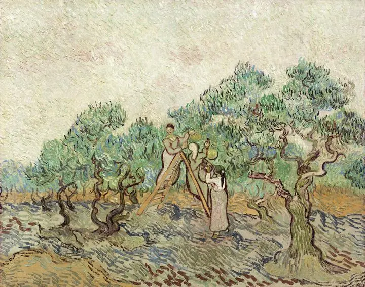 The Olive Orchard, Paintings, Van Gogh