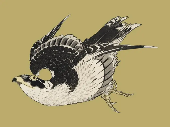 The Ukiyo-E Illustration- Hawk, Aesthetic Art, Animal & Birds, Animal & Birds B