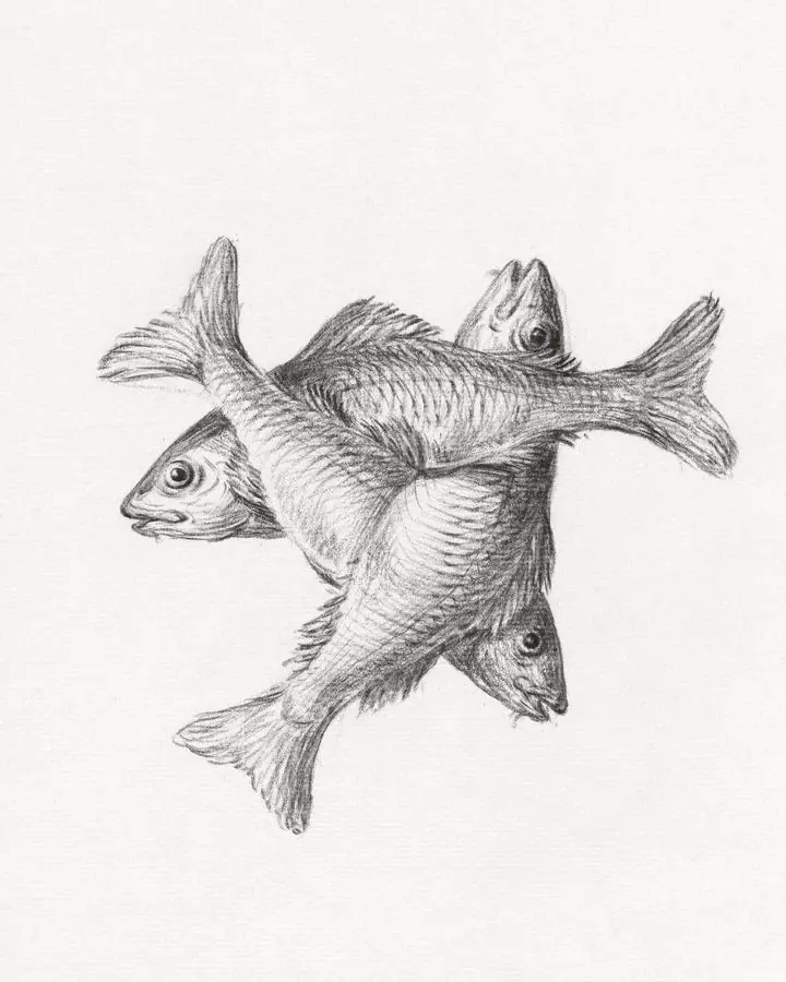 Three Fishes-1775-1833, Aesthetic Art, Animal & Birds, Animal & Birds B