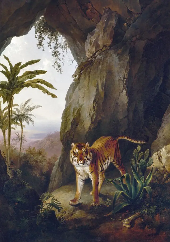 Tiger In A Cave-1814, Aesthetic Art, Animal & Birds, Animal & Birds B
