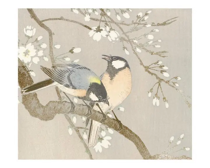 Tit Birds On A Cherry Branch, Aesthetic Art, Animal & Birds, Animal & Birds B