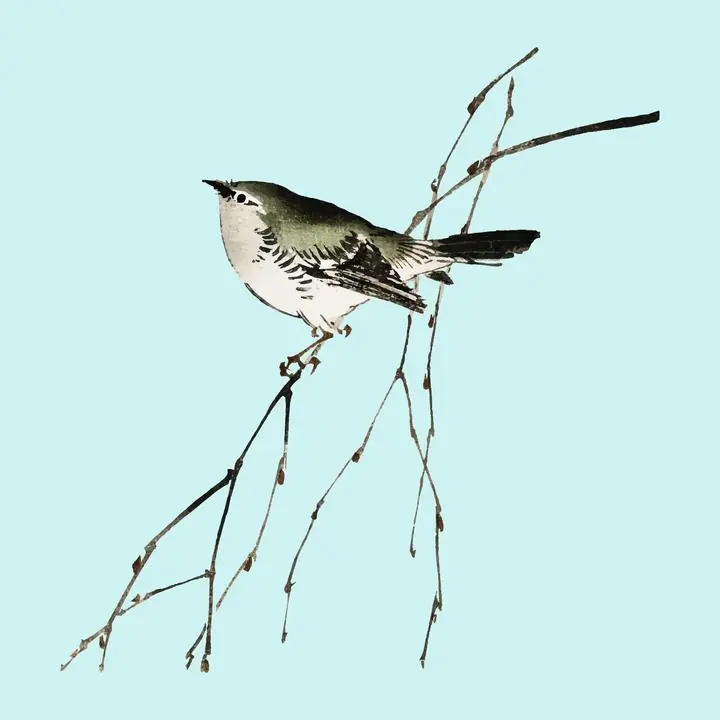 Tit By Kono Bairei-1844-1895, Aesthetic Art, Animal & Birds, Animal & Birds B