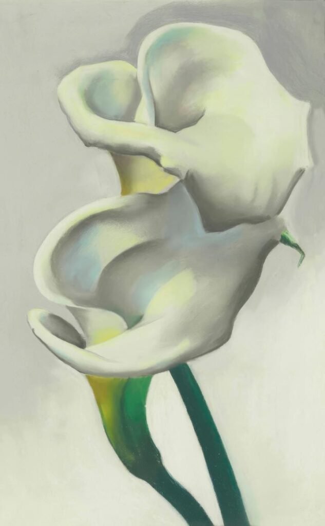 Two Calla Lilies Together (1923)