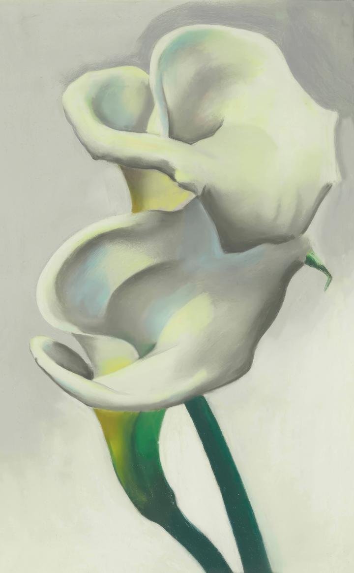 Two Calla Lilies Together (1923), Paintings, Georgia O Keeffe