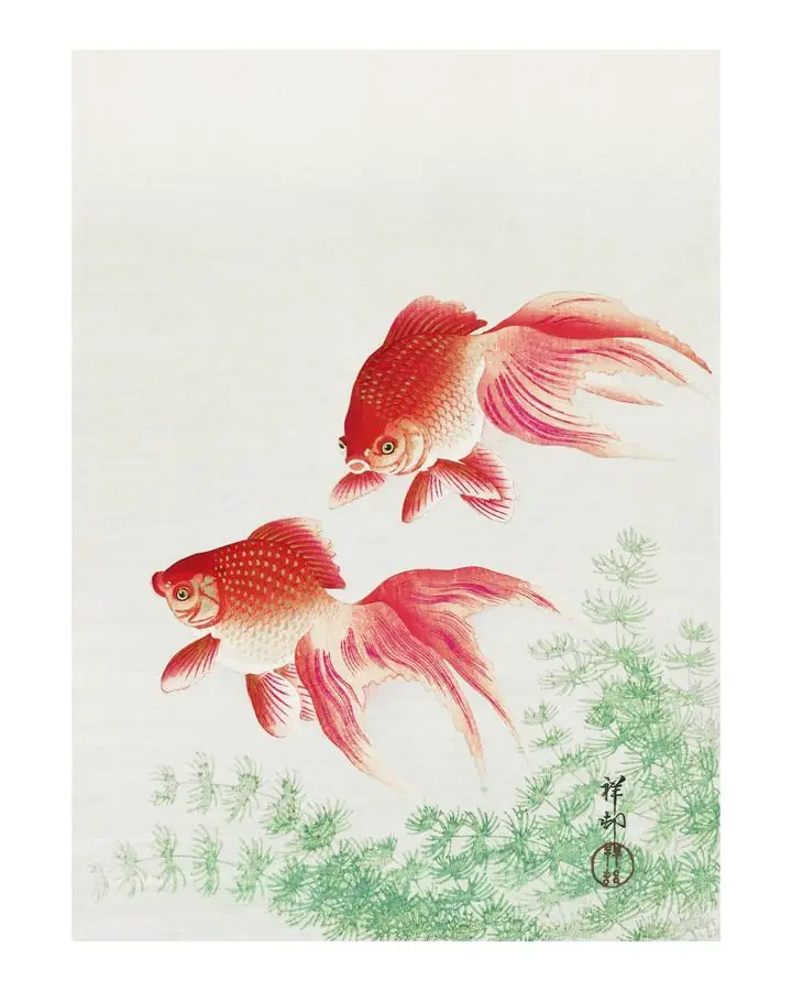 Two Veil Goldfish Vintage, Aesthetic Art, Animal & Birds, Animal & Birds B