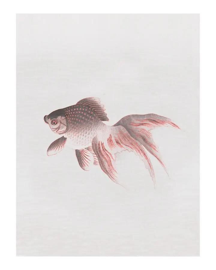 Veiltail Goldfish Vintage, Aesthetic Art, Animal & Birds, Animal & Birds B