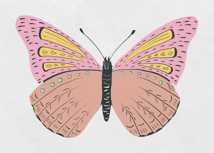 Vintage Butterfly, Aesthetic Art, Animal & Birds, Animal & Birds B