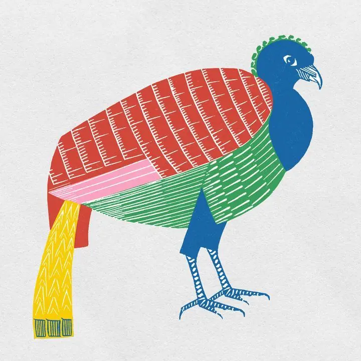 Vintage Colorful Bird, Aesthetic Art, Animal & Birds, Animal & Birds B