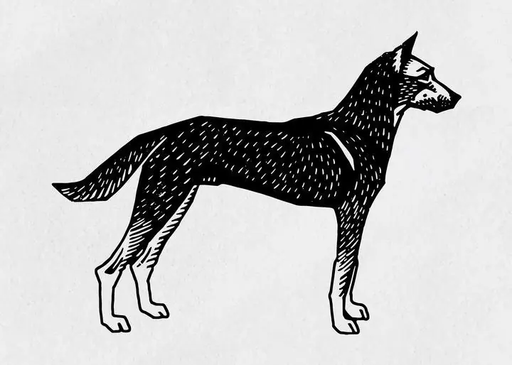 Vintage Dog 2, Aesthetic Art, Animal & Birds, Animal & Birds B