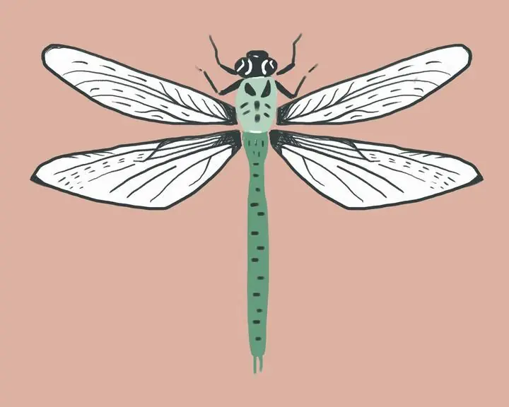 Vintage Dragonfly, Aesthetic Art, Animal & Birds, Animal & Birds B