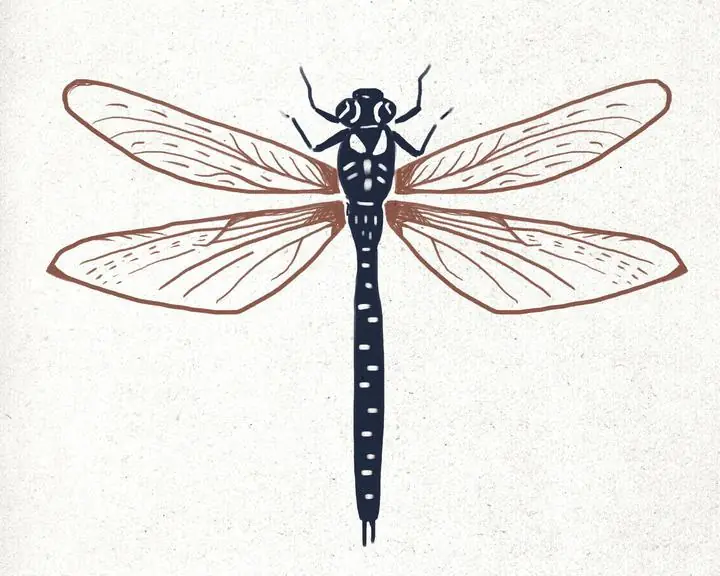 Vintage Dragonfly Linocut, Aesthetic Art, Animal & Birds, Animal & Birds B