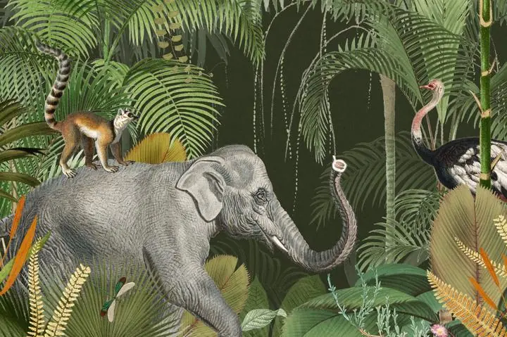 Vintage Jungle Elephant, Aesthetic Art, Animal & Birds, Animal & Birds B