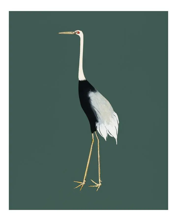 Vintage Red Crown Crane, Aesthetic Art, Animal & Birds, Animal & Birds B