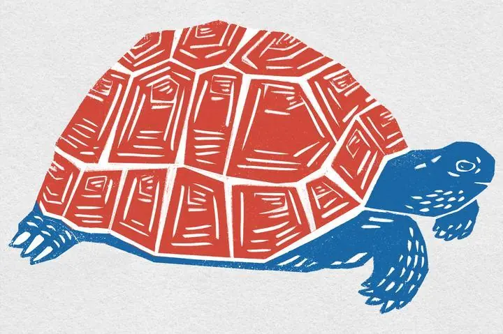 Vintage Red Turtle, Aesthetic Art, Animal & Birds, Animal & Birds B
