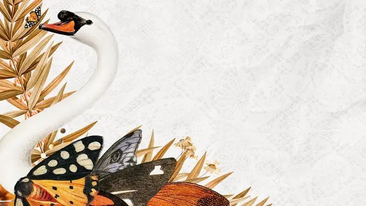 Vintage Swan, Aesthetic Art, Animal & Birds, Animal & Birds B