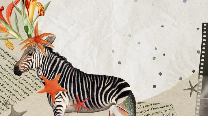 Vintage Zebra, Aesthetic Art, Animal & Birds, Animal & Birds B