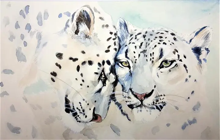 White Snow Leopards