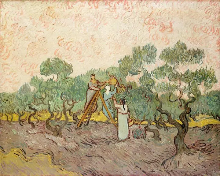 Women Picking Olives, Paintings, Van Gogh