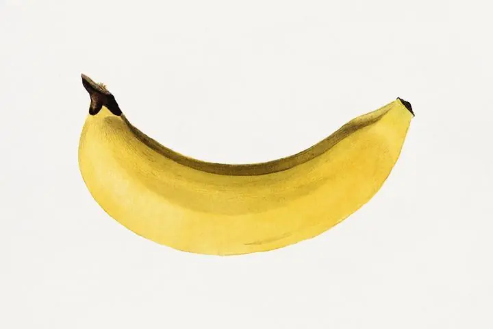 Yellow Banana 3, Aesthetic Art, Fruits