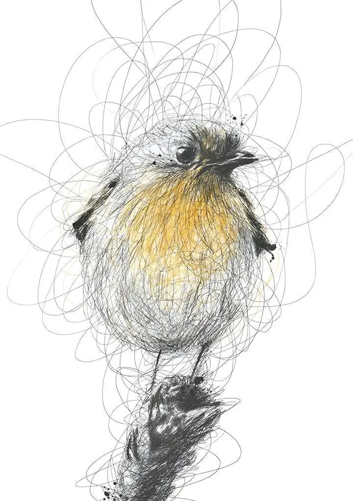 Yellow Bird Sketch, Wall Art, Modern, Modern Monochrome