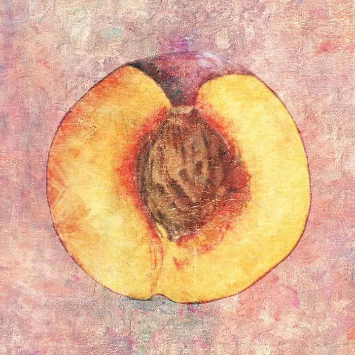 Yellow Cut Peach, Aesthetic Art, Fruits