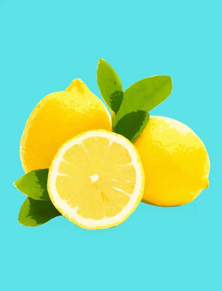 Yellow Lemons With Leaves 7, Aesthetic Art, Fruits