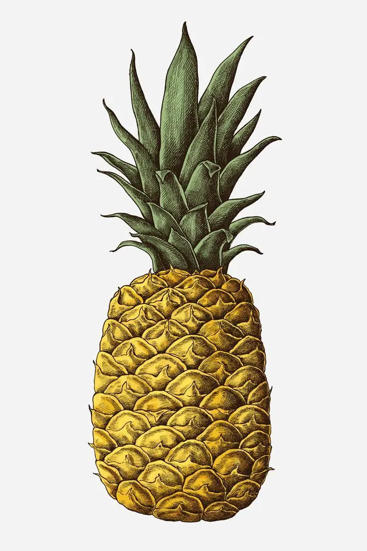 Yellow Pineapple 3, Aesthetic Art, Fruits