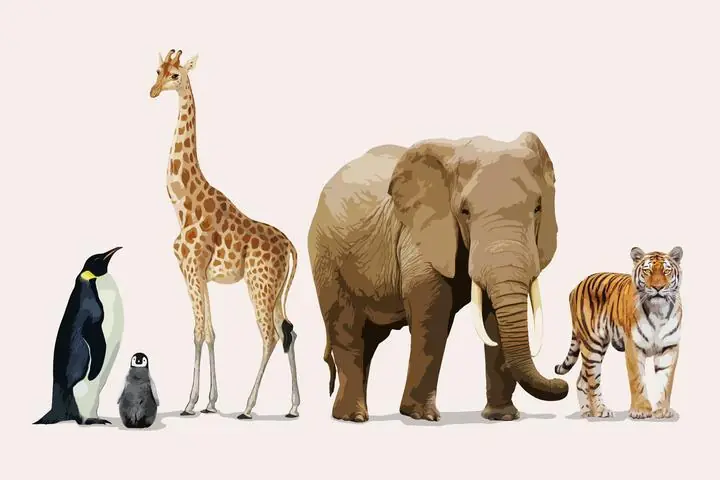 Zoo Animal Wildlife Clipart- Aesthetic Illustration, Aesthetic Art, Animal & Birds, Animal & Birds B